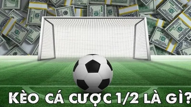 Kèo 1/2 là gì?